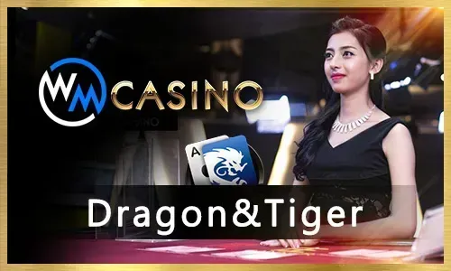 Jilihot Allin Live Dealer Games